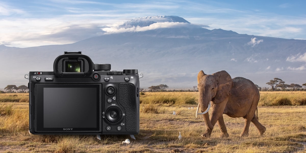 Sony A7R IIIa